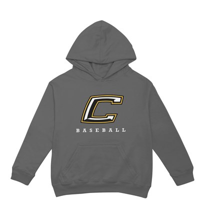 Canes Baseball 3D Hoodie